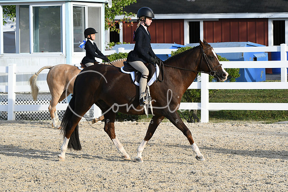 HSM_4568