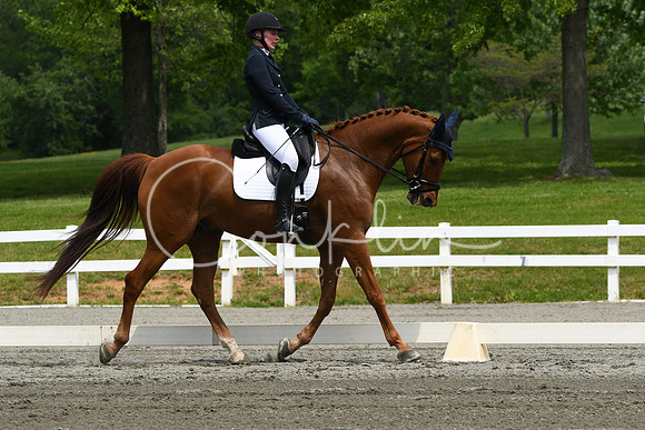 HSM_0586