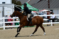 HSM_6818