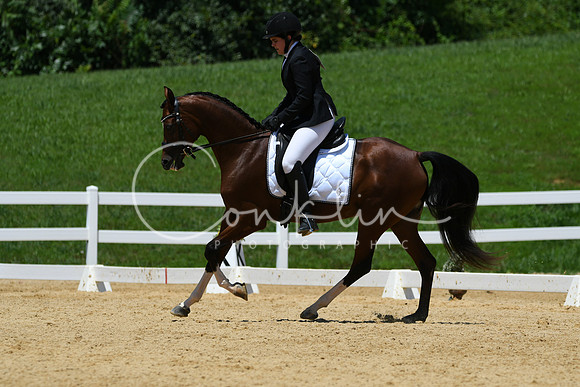 HSM_1528