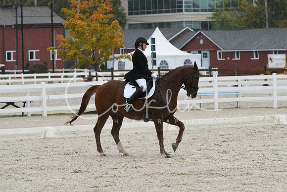 HSM_0381
