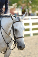 1I7A9348