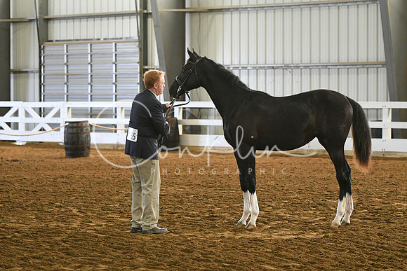 HSM_3619