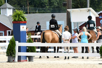 HSM_8653