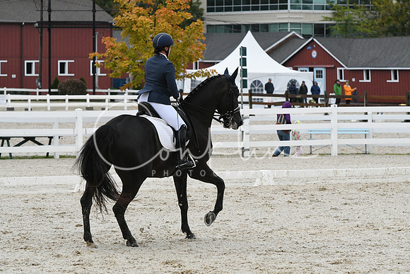 HSM_0659