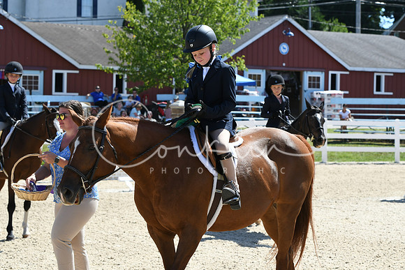 HSM_3369