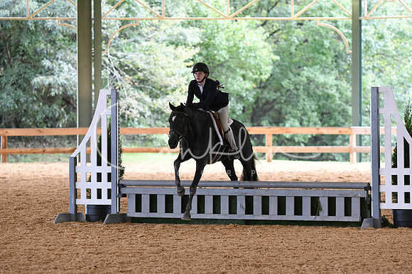 HSM_1175