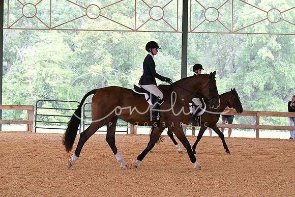 HSM_2353