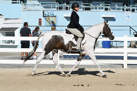 HSM_2310