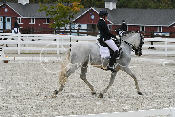 HSM_0113