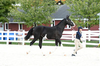 HSM_5697