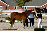 HSM_5584
