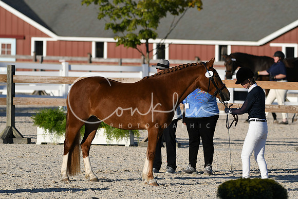 HSM_5584