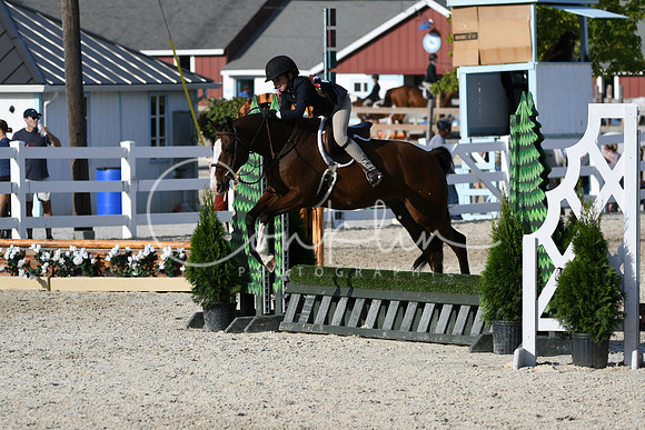 HSM_4329