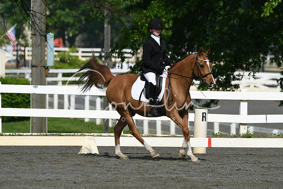 HSM_1048
