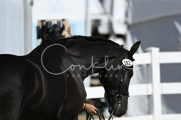 HSM_4728