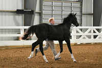 HSM_3627