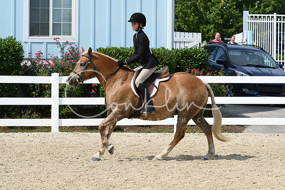 HSM_6419