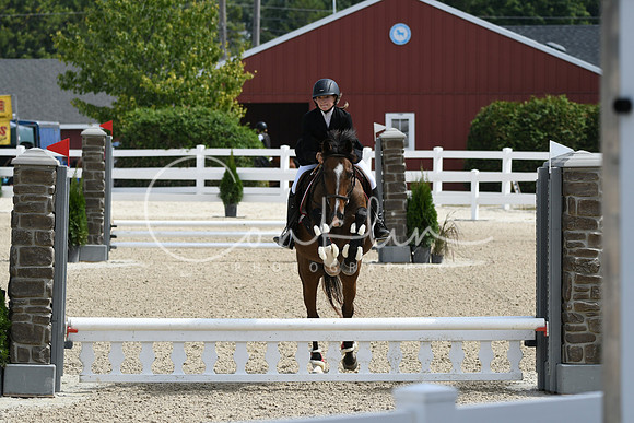 HSM_2199