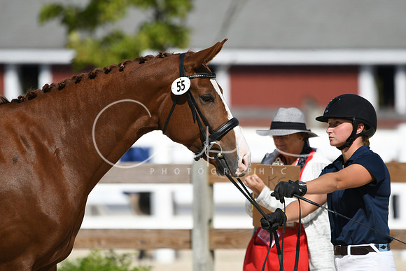 HSM_4951