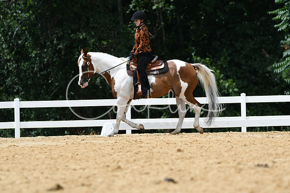 HSM_0542