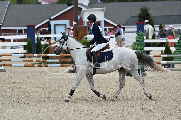 HSM_2941