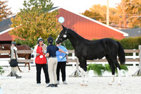 HSM_5705