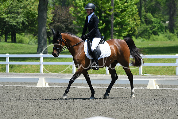 HSM_1676