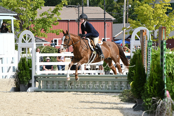 HSM_6119