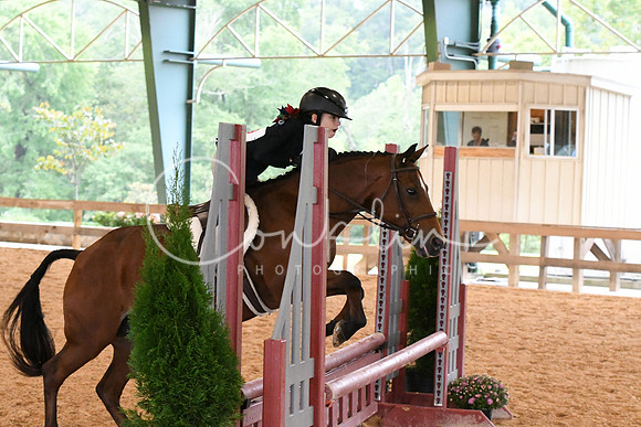 HSM_2184