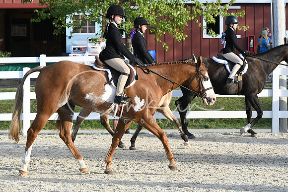 HSM_4562