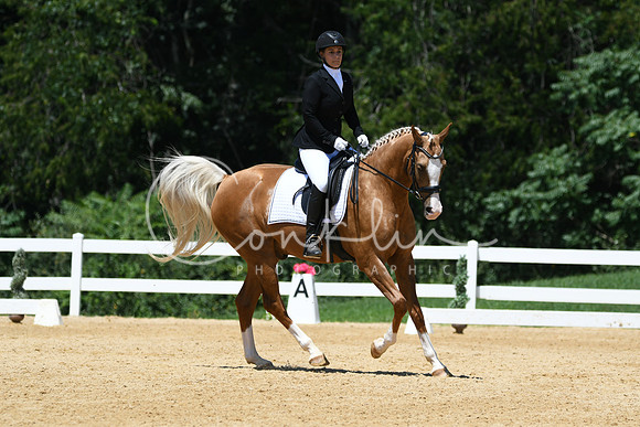 HSM_1384