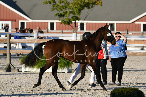 HSM_5620