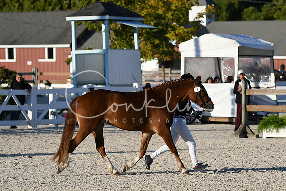 HSM_5591
