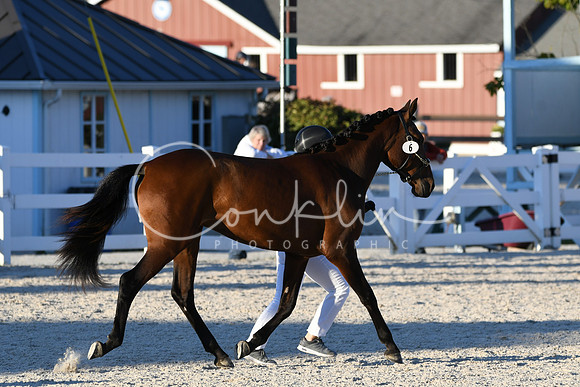 HSM_5617