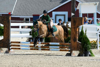 HSM_2011
