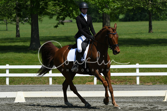 HSM_2295