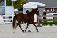 HSM_5350