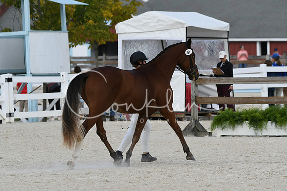HSM_5350