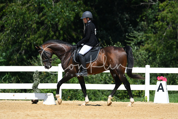 HSM_1252