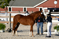 HSM_5582