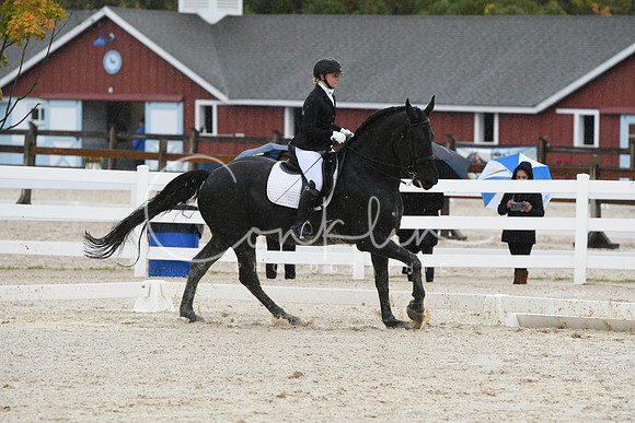 HSM_0446
