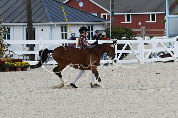 HSM_5361