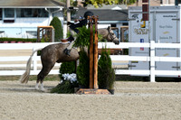 HSM_5846