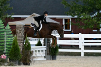HSM_0529