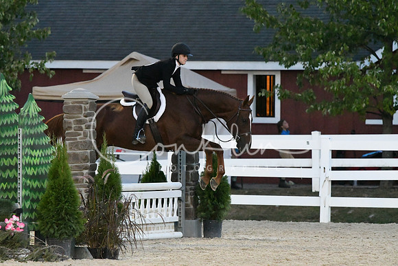 HSM_0529