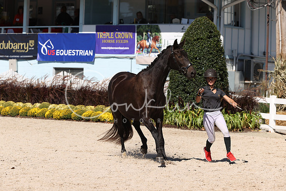 RJC31133