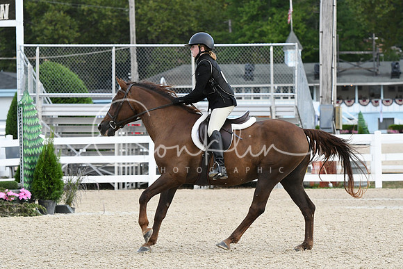 HSM_5337