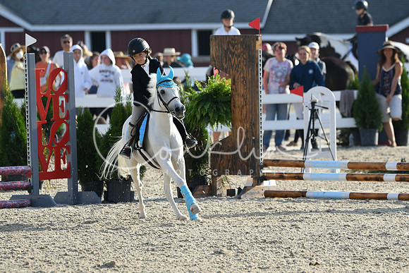 HSM_1203