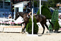 HSM_2908